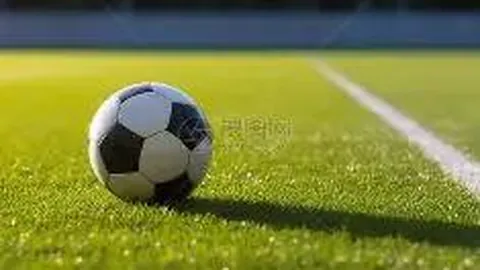 喜讯！C罗公布女友乔治娜喜怀双胞胎